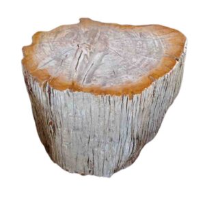 Petrified Wood Stool Top Polish