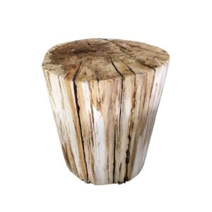Petrified Wood Stool Full Polish Ruond