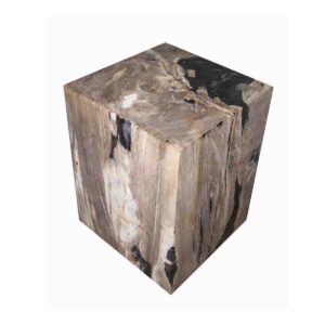 Petrified Wood Stool Square Solid