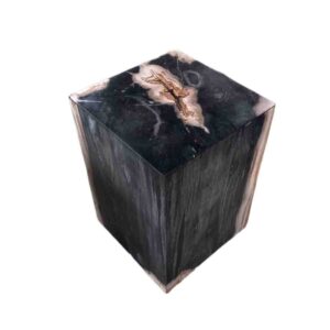 Petrified Wood Stool Hollow