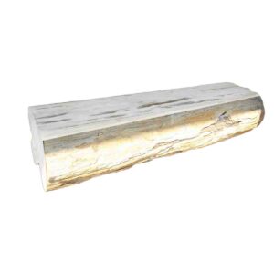 Petrified Wood Bench Solid Top Polish
