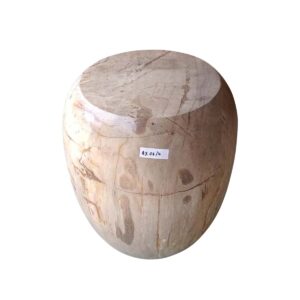 Petrified Wood Side Table Barrel