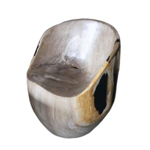 Petrified Wood Chair