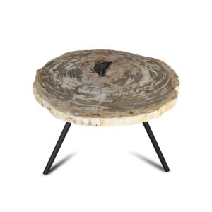 Petrified Wood Slices Coffee Table