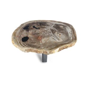 Petrified Wood Slab Coffee Table Round (S)