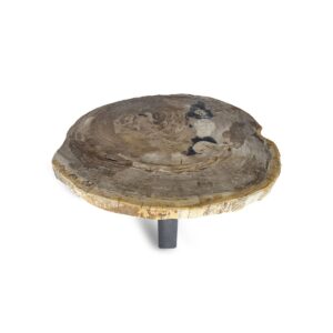 Petrified Wood Slab Coffee Table Round (M)