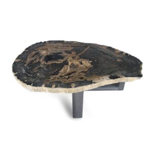 Petrified Wood Slab Coffee Table Round (L)