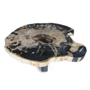 Petrified Wood Slab Coffee Table Round (XL)