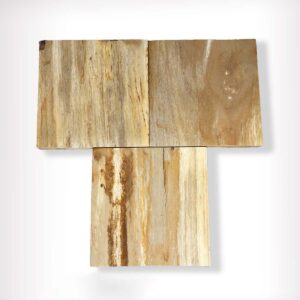 Petrified Wood Tiles (Flooring & Walls)