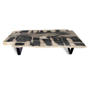 Petrified Wood Slab Coffee table Rectangle