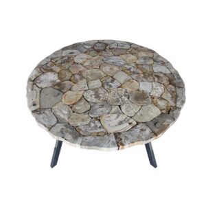 Petrified Wood Mosaic Round Table L