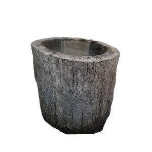 Petrified Wood Water Tub