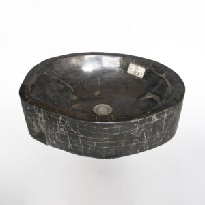 Petrified Wood SINK (POLISHED, IRREGULER SHAPE) M