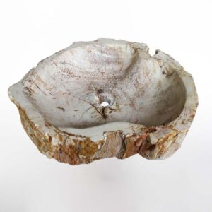Petrified Wood SINK (NO LIPS, SLIM POLISHED, IRREGULAR) M