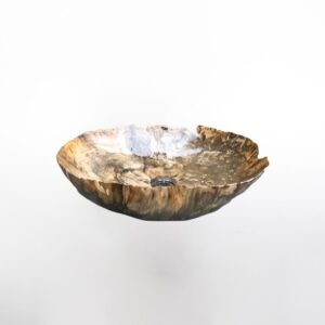 Petrified Wood SINK (NO LIPS, IRREGULAR) M