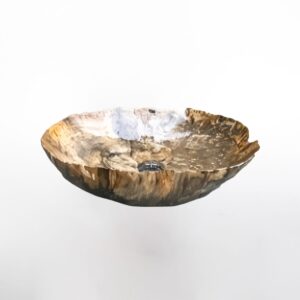Petrified Wood SINK (NO LIPS, IRREGULAR) L