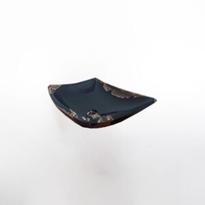 Petrified Wood SINK (POLISHED) L