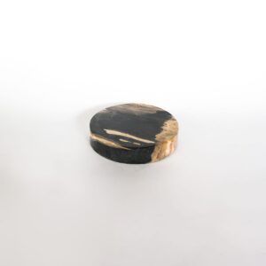 Petrified Wood Coaster