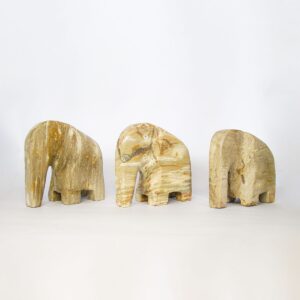 Petrified Wood Elephant