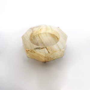 Petrified Wood Ashtray Full Polished