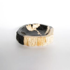 Petrified Wood Ashtray Natural