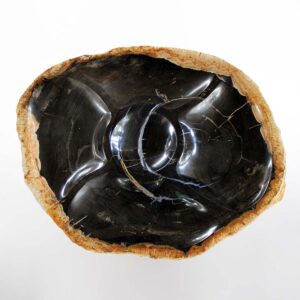 Petrified Wood Divided Tray