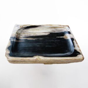 Petrified Wood Concave Tray