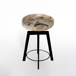 Petrified Wood Bar Stool