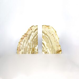 Petrified Wood BOOKEND S