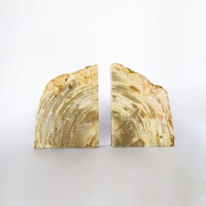 Petrified Wood BOOKEND M
