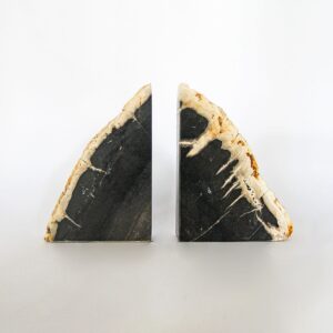 Petrified Wood BOOKEND L