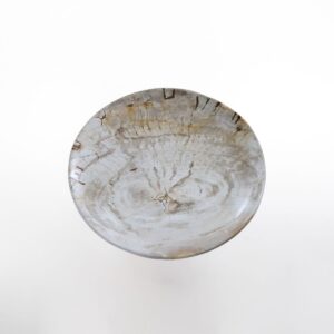 Petrified Wood PLATTER S