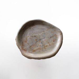 Petrified Wood PLATTER M