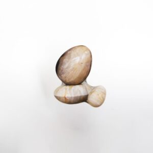 Petrified Wood Egg M