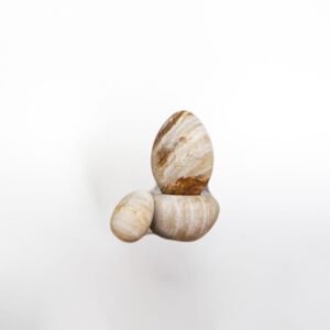 Petrified Wood Egg L