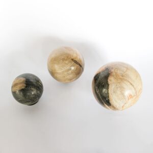 Petrified Wood Ball XL