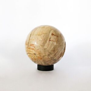 Petrified Wood Ball L