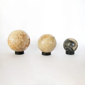 Petrified Wood Ball M