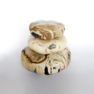Petrified Wood Burger set of 3 M