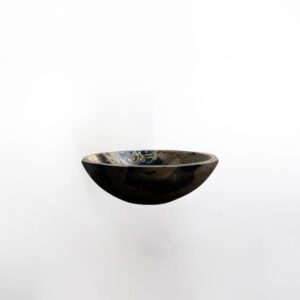 Petrified Wood Bowl S