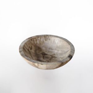 Petrified Wood Bowl M