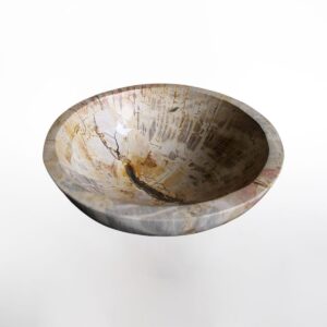 Petrified Wood Bowl L