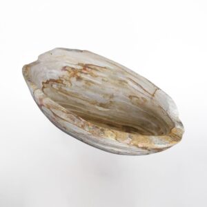 Petrified Wood Natural Lips Bowl / Oval Bowl M