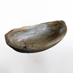 Petrified Wood Natural Lips Bowl / Oval Bowl L