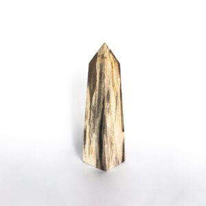 Petrified Wood Obelix Table Deco