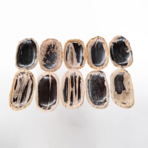 Petrified Wood Plate Long M
