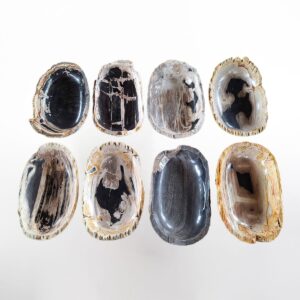 Petrified Wood Plate Long L