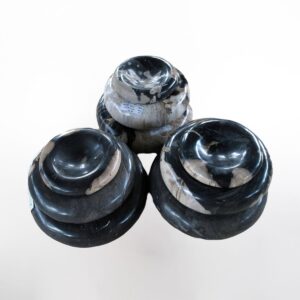 Petrified Wood Bowl Pasta Type L