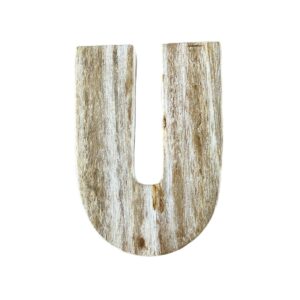 Petrified Wood Deco U