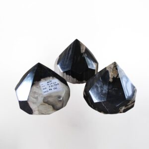 Petrified Wood Coconut Deco M